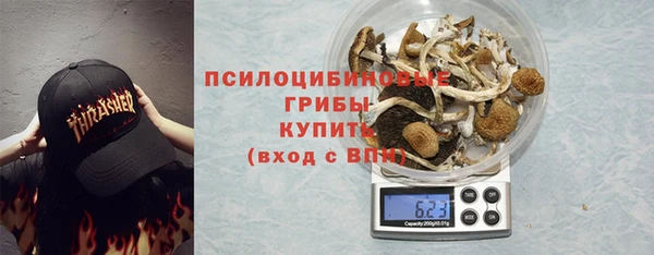 ПСИЛОЦИБИНОВЫЕ ГРИБЫ Абдулино