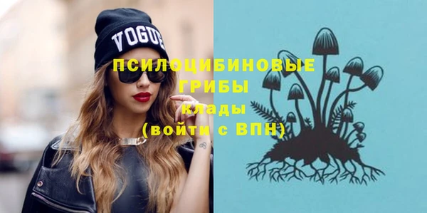 ПСИЛОЦИБИНОВЫЕ ГРИБЫ Абдулино