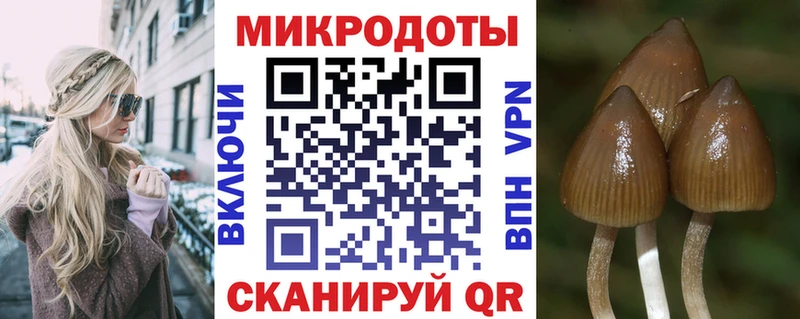 Галлюциногенные грибы мицелий  Хилок 
