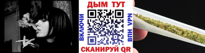 Бошки Шишки ГИДРОПОН  закладка  Хилок 